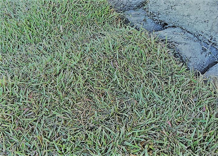 Southern Sod Supply | Central Mississippi Landscape Materials